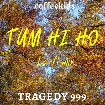 Tum Hi Ho (Lofi Mix) Cover