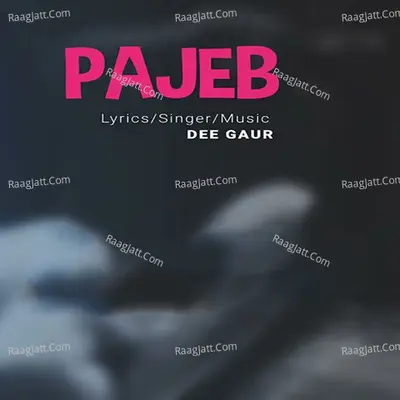 Pajeb