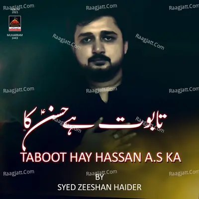 Syed Zeeshan Haider