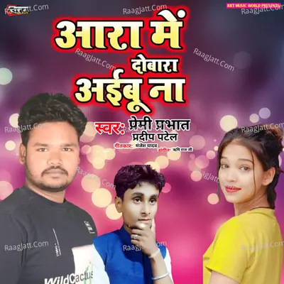 Aara Mein Dobara Aibu Na Cover
