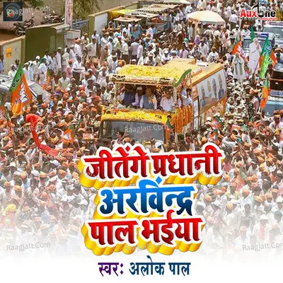 Alok Pal Image