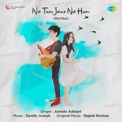 Na Tum Jano Na Hum - ReVibe Cover
