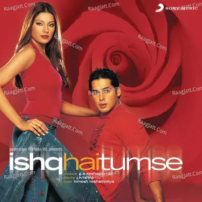 Ishq Hai Tumse Poster