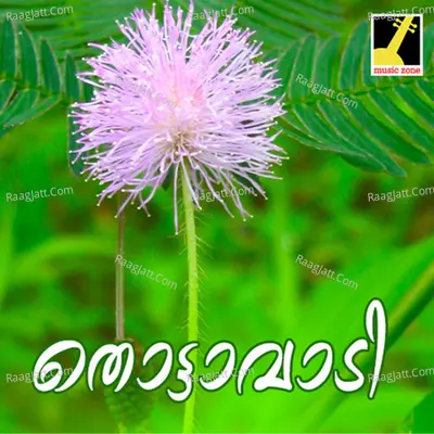 Thottavadi - Vijith