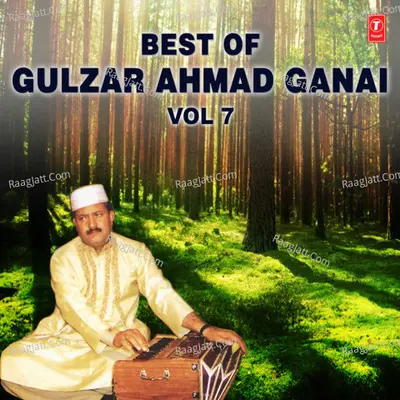 Best Of Gulzar Ahmad Ganai Vol-7 Poster