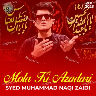 Mola Ki Azadari, Vol. 2023 - Syed Muhammad Naqi Zaidi