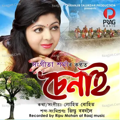Senai Cover