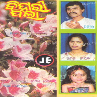 Bihari Pilaa - 