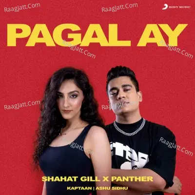 Pagal Ay Cover