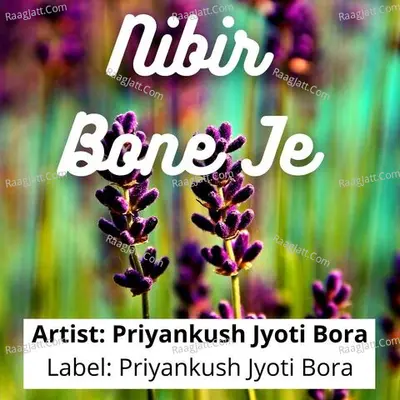 Nibir Bone Je Cover