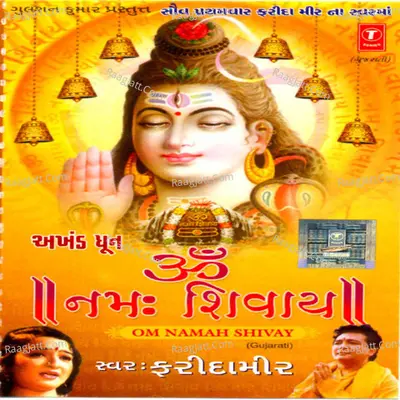 Om Namah Shivay-Akhand Dhun - Farida Mir