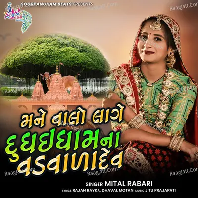 Mane Valo Lage Dudhai Dham Na Vadvana Dev Cover