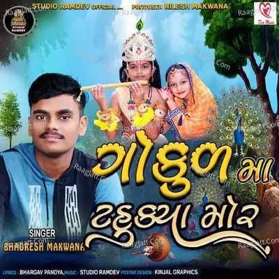 Gokul Ma Tahukya Mor Cover