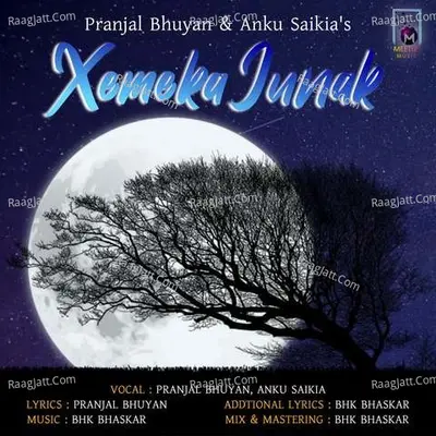Pranjal Bhuyan Image