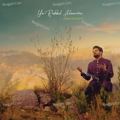 Ya Rabbil Alameen Cover