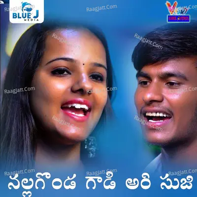 Nallagonda Gaadi Aari Suji Cover