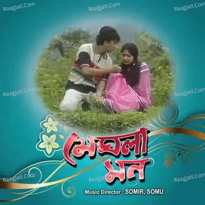 Meghla Mon Poster