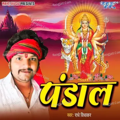 Radhe Vidhakar Image