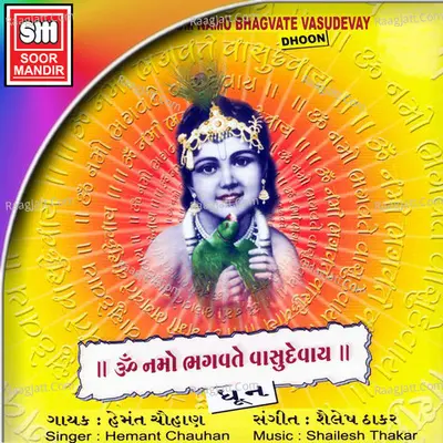 Om Namo Bhagwate Vasudevay - Appu