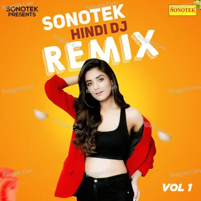 Sonotek Hindi DJ Remix Vol 1 Poster