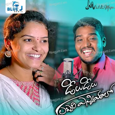 Dilu Dilu Labbari Enniyalo Cover