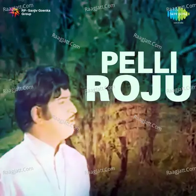 Pelliroju Poster