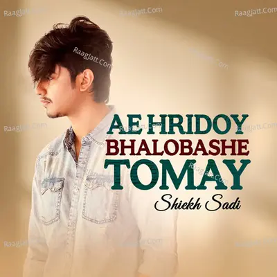 Ae Hridoy Bhalobashe Tomay Cover