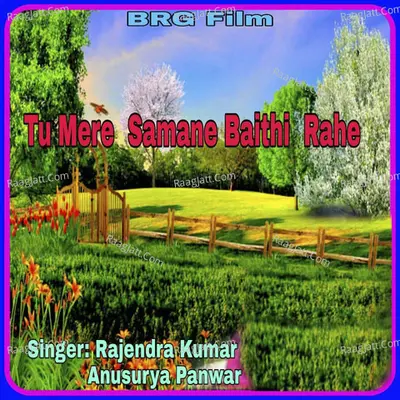 Tu Mere Samane Baithi Rahe Cover
