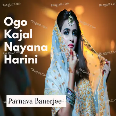 Parnava Banerjee Image