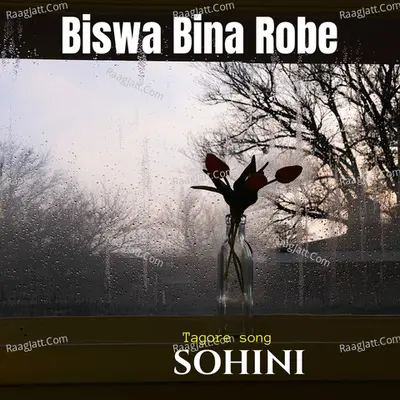 Biswa Bina Robe