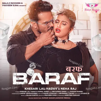 Barf Cover