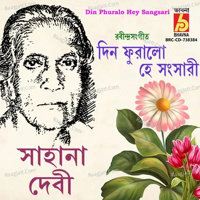 Din Phuralo Hey Sangsari Cover