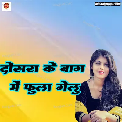 Dosra Ke Bag Me Phula Gailu Poster