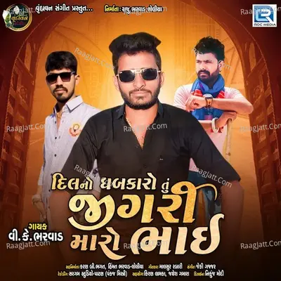 Vk Bharwad Image