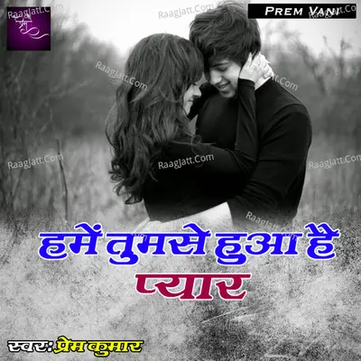 Hame Tumse Hua Hai Pyaar Cover