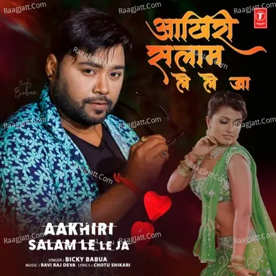 Aakhiri Salam Le Le Ja Cover