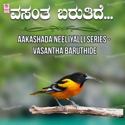 Aakashada Neeliyalli Series - Vasantha Baruthide Poster