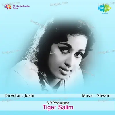 Tiger Saleem - P. Jayachandran