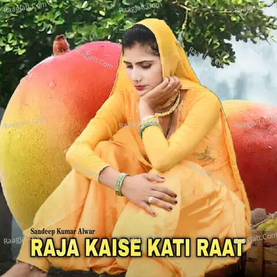 Raja Kaise Kati Raat Poster