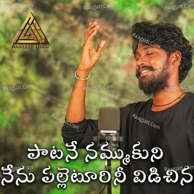 Paatane Nammukuni (Nenu Palleturu Vidichina) Cover