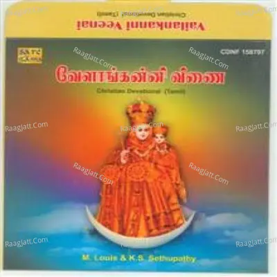 Vailankanni Veenai - m louis