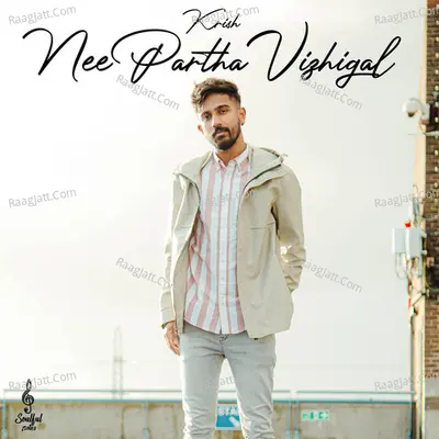 Nee Partha Vizhigal