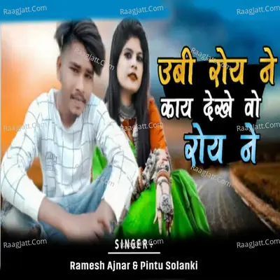 Pintu Solanki Image