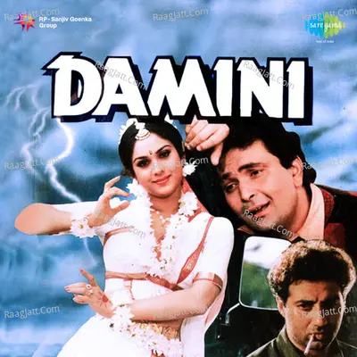 Damini Poster