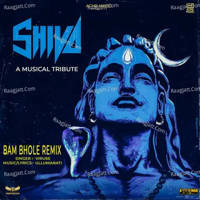 Bam Bhole Remix Cover