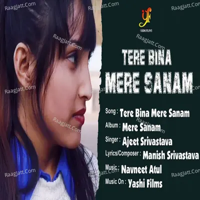 Tere Bina Mere Sanam - Single Cover