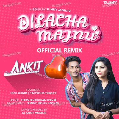 Dilacha Majnu Remix Cover