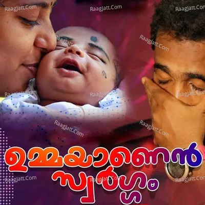 Shihab Patturumal Image