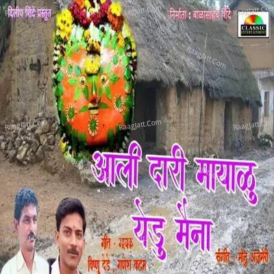 Aali Dari Yedu Mayalu Maina Cover