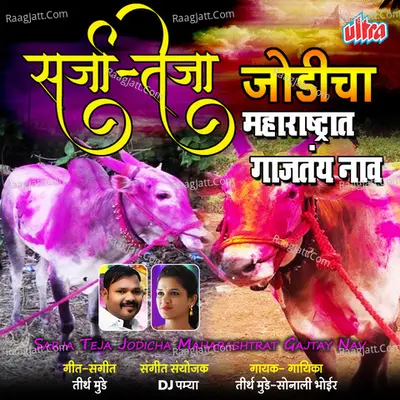 Sarja Teja Jodicha Maharashtrat Gajtay Nav Cover